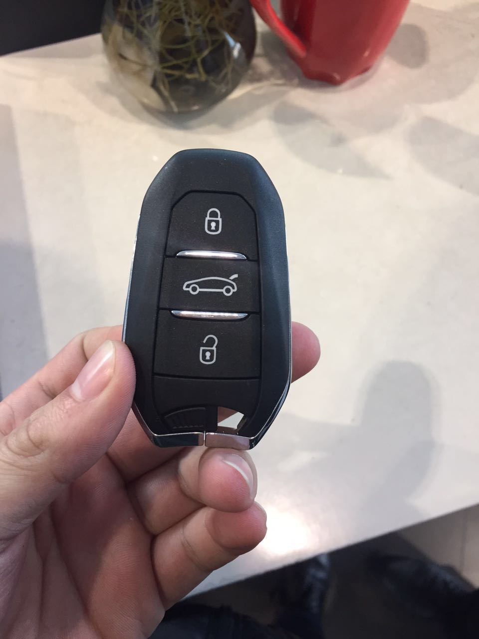 756498254719394611.jpg