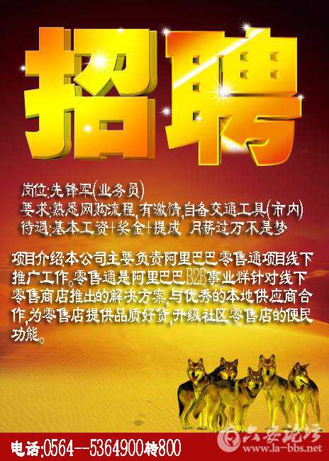 招聘11.jpg