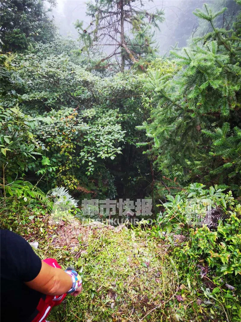 2uBo-hifuvph2490726.jpg