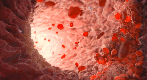 YkF_-hinpmnq4025540.gif
