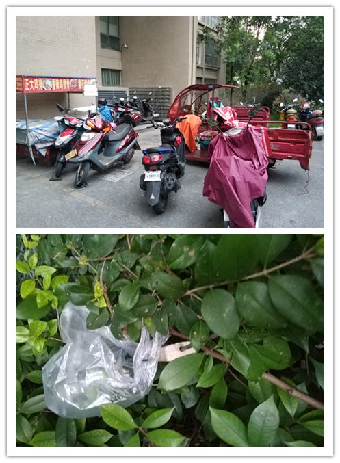 微信图片_20180831154105.jpg