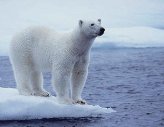 sFNK-hinpmnr9165790.jpg