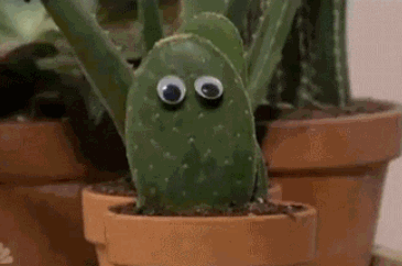 2tmo-hiqtcan4338213.gif