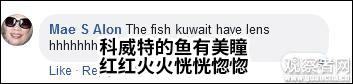 yY8D-hiqtcan4337340.jpg