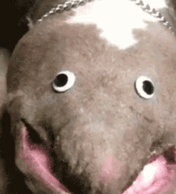 wvwp-hiqtcan4337915.gif