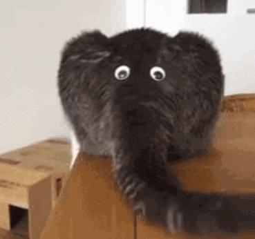 jjap-hiqtcan4338150.gif