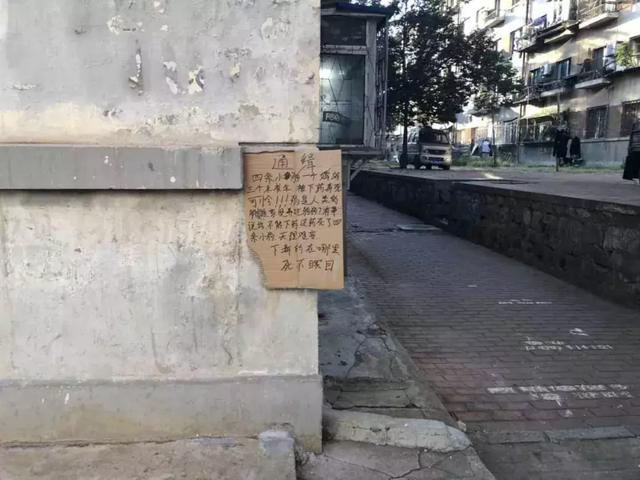 15360235246629.jpg