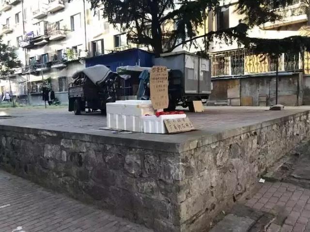 15360235251733.jpg