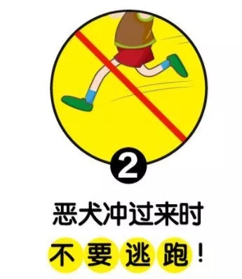 9jHZ-hiqtcap0135848.jpg