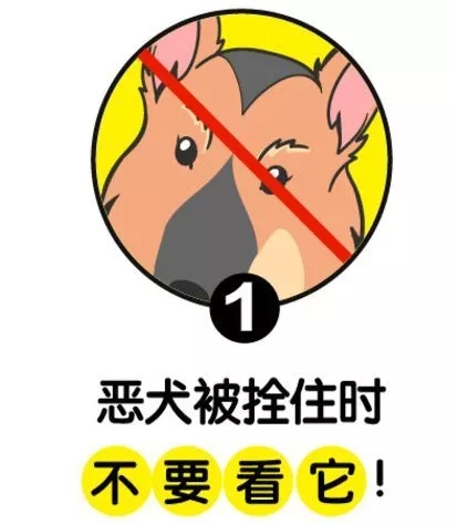 wc4_-hiqtcap0135300.jpg