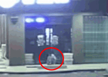 8lF3-hitesuy4784617.gif