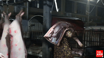 9.gif