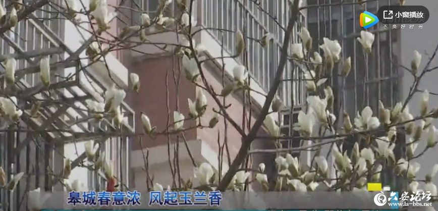 QQ截图20190315081143.png