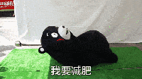 0.gif