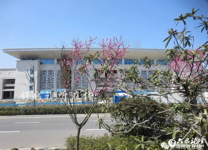 QQ截图20190319094439.png