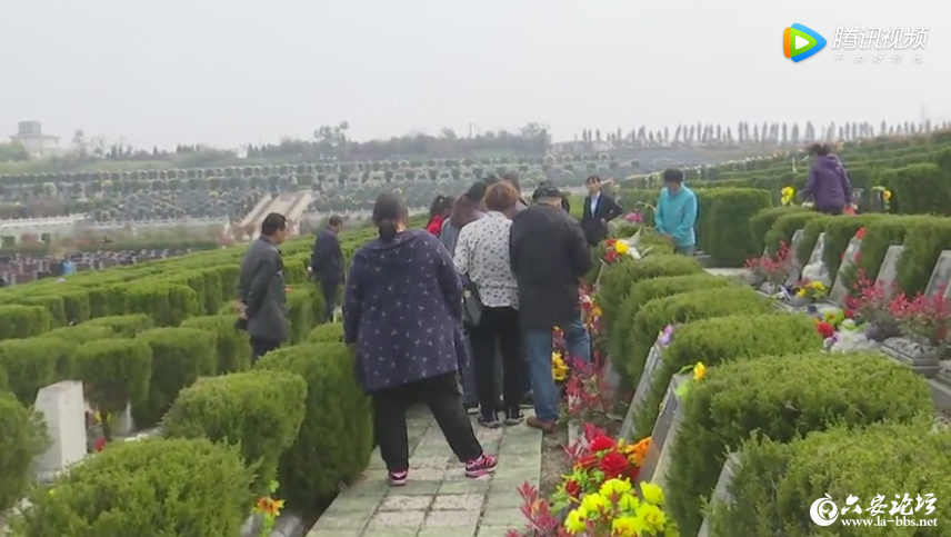 QQ截图20190331083514.png