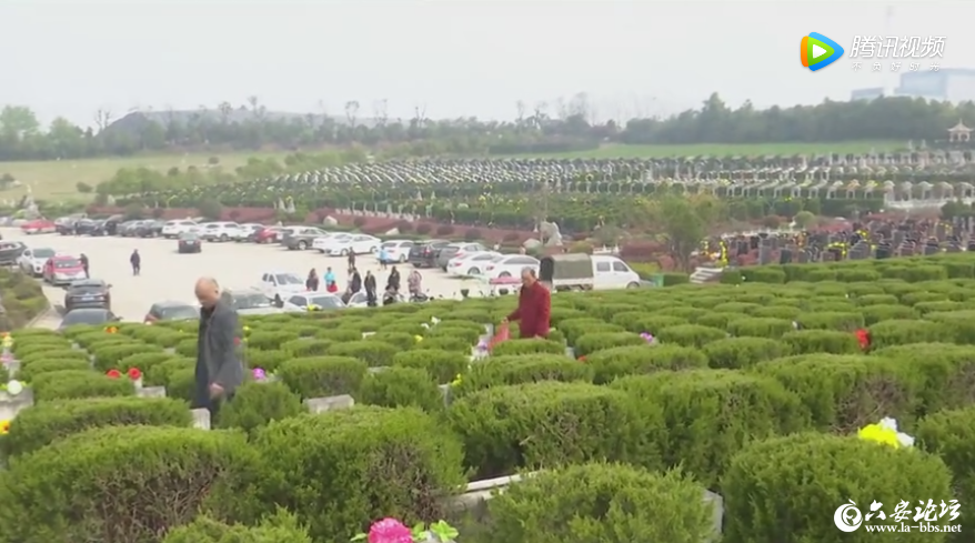 QQ截图20190331083520.png