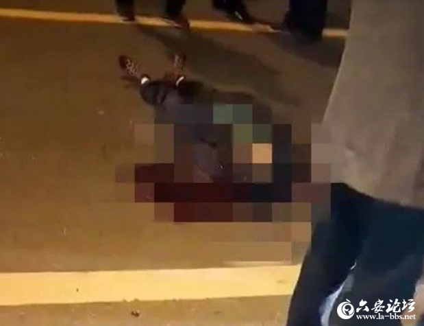 QQ截图20190401082235.png