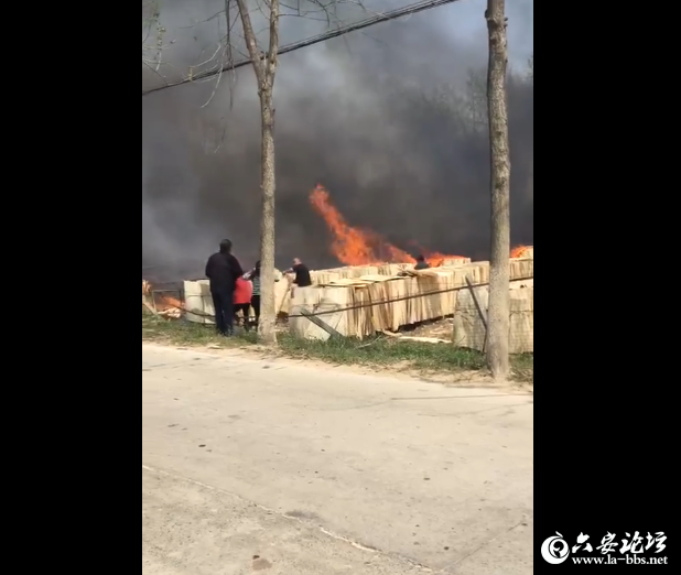 QQ截图20190401091937.png