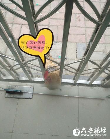 QQ截图20190401093807.png