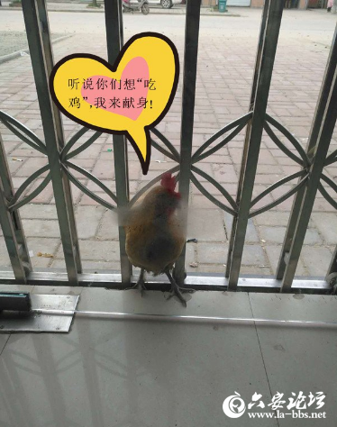 QQ截图20190401093758.png