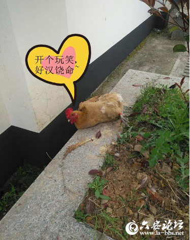 QQ截图20190401093814.png