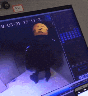 1.gif
