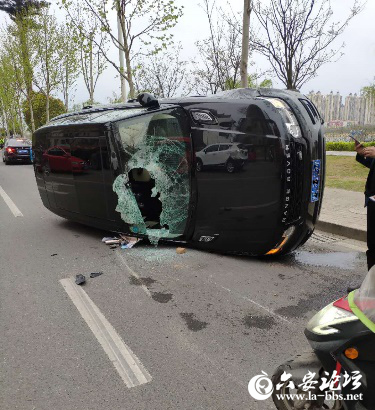 微信图片_20190404084729.png