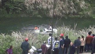 00.gif