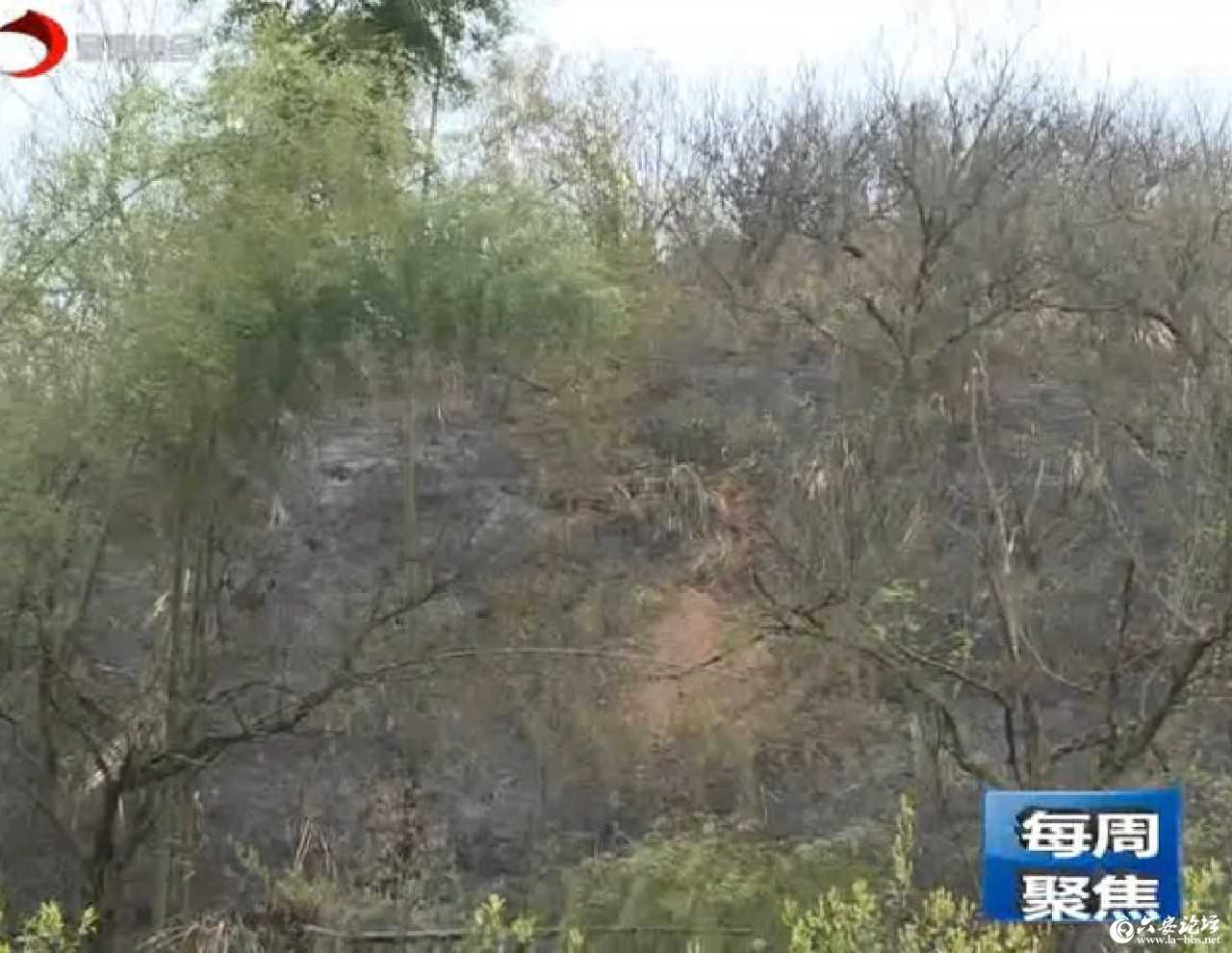 微信图片_20190405092044.jpg