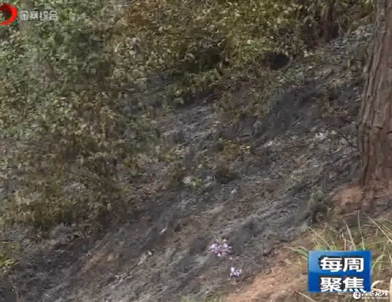 微信图片_20190405092047.jpg