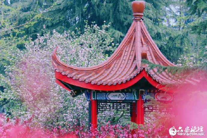 78e3b9a3ly1g1pifzg1owj21900u0k3u.jpg