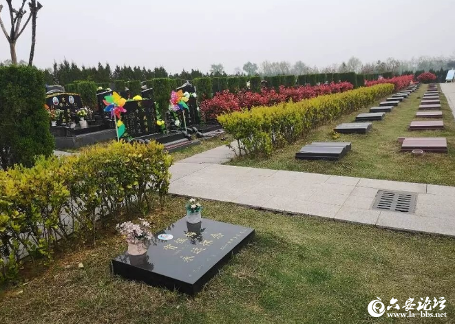 QQ截图20190409083324.png