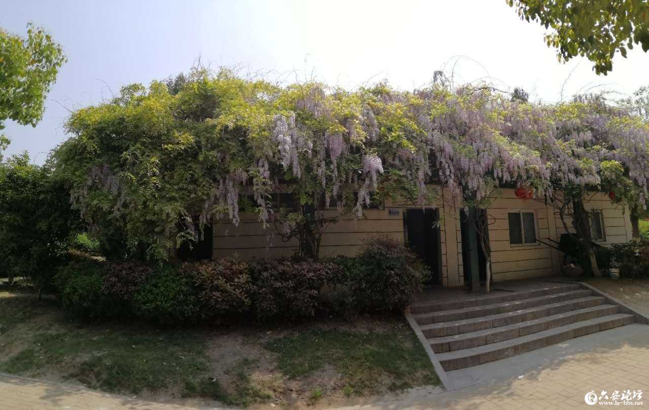 112909wyokkzyfkdmrfr0a_副本.jpg