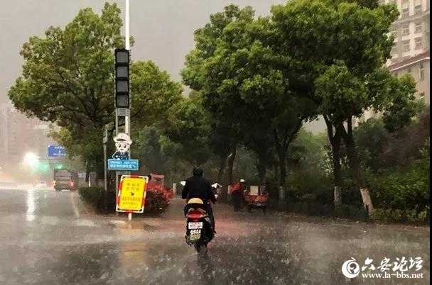 微信图片_20190409144202.jpg