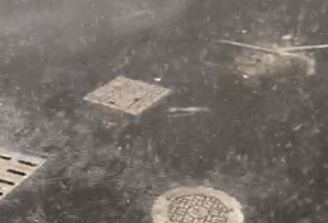 微信图片_20190409144204.gif