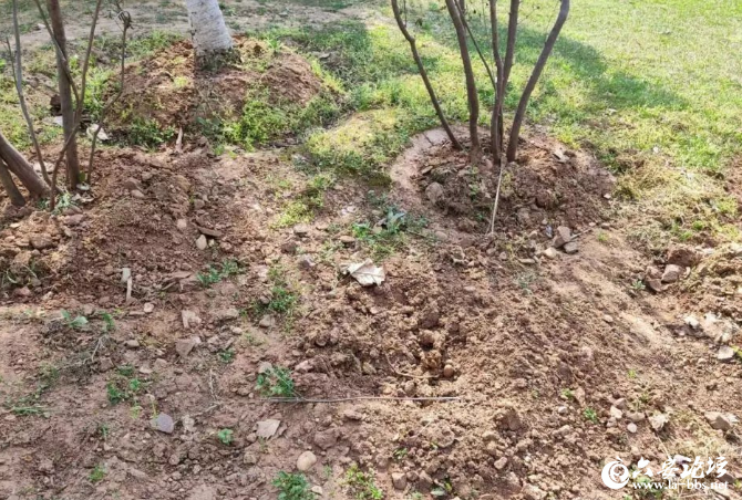 QQ截图20190410082955.png