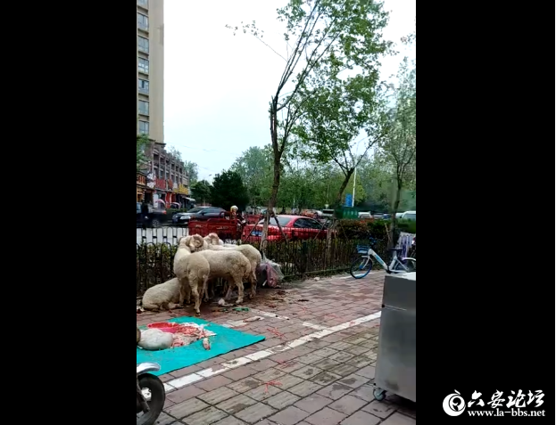 QQ截图20190411165248.png