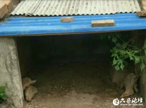 QQ截图20190415083118.png