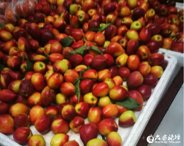 QQ截图20190415083538.png
