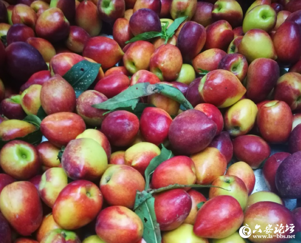 QQ截图20190415083548.png