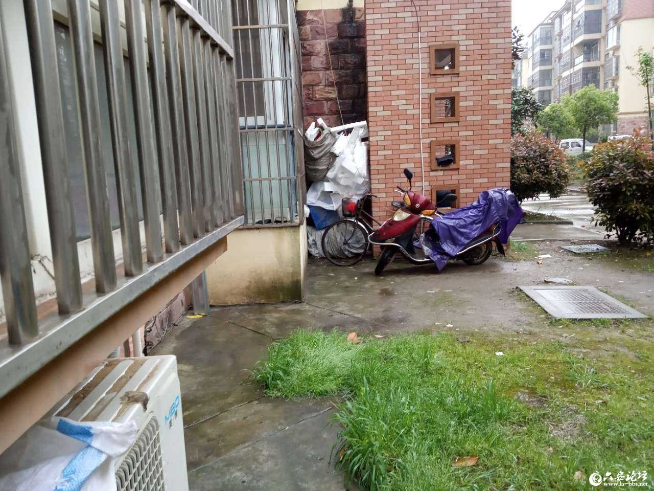 20190415_269894_1555292534224.jpg