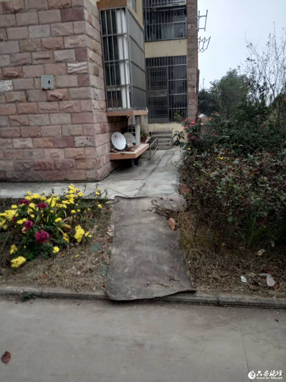 20190415_269894_1555292535528.jpg