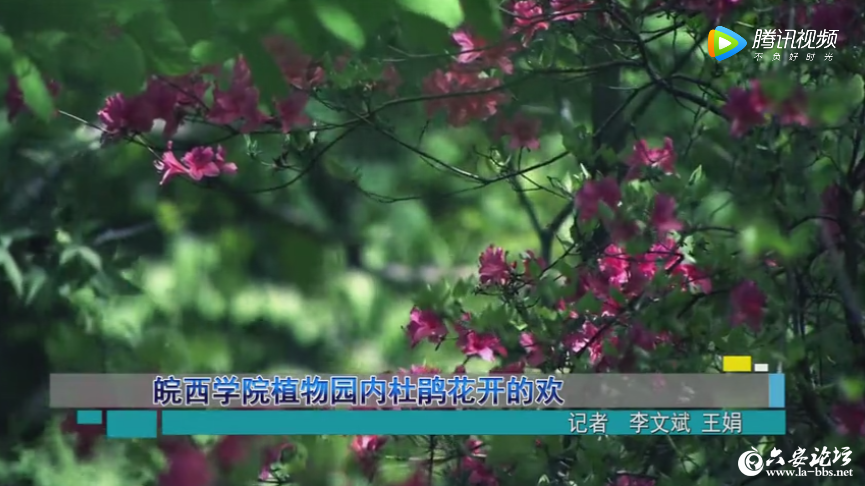 QQ截图20190416081644.png
