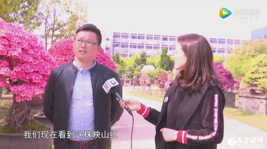 QQ截图20190416081709.png