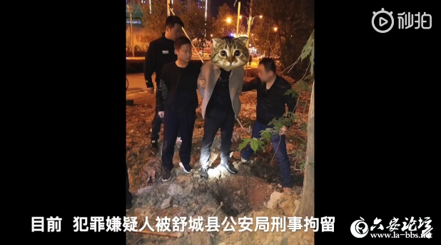QQ截图20190416160009.png