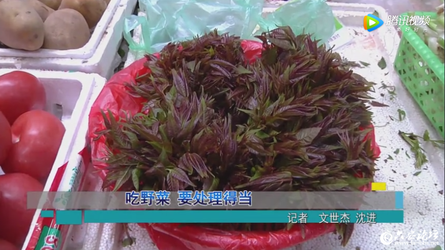 QQ截图20190417091840.png