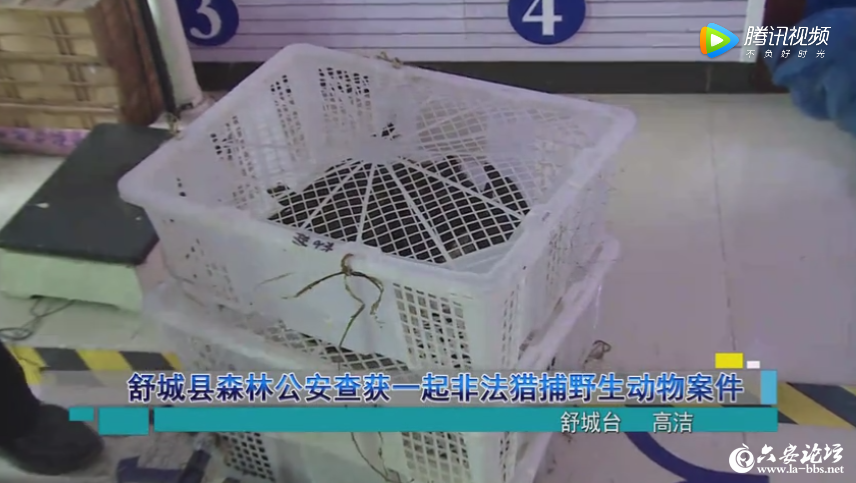 QQ截图20190423081205.png