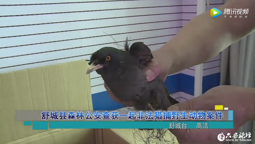 QQ截图20190423081211.png