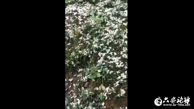 QQ截图20190423144254.png